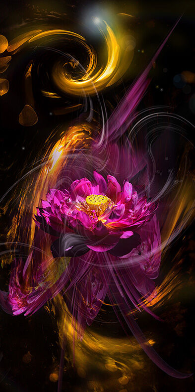 Heavenly Lotus 01 - a Photographic Art Artowrk by Akitoshi Matsuhara